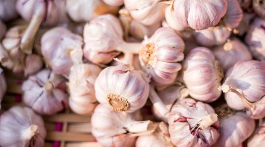 Fokhagyma ültetése tavasszal: ezt rontják el a legtöbben