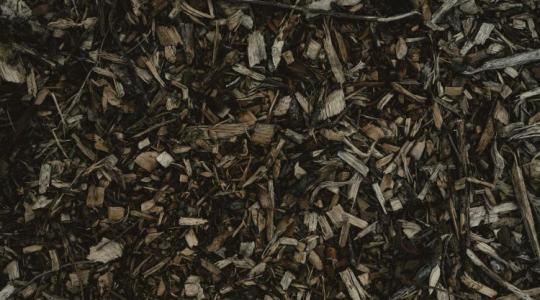 Jól vigyázz, most nem szabad elrontanod ezt a kertben!