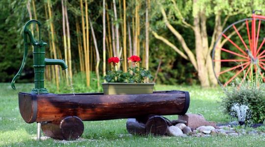 Ezért pusztul a muskátli - és hogyan mentheted meg