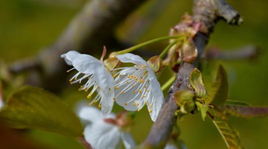 Viharos szél és hajnali fagy: mire készüljenek a gazdák szerda reggel?