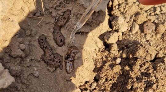 Talajstratégiák V. – Kémiai problémák