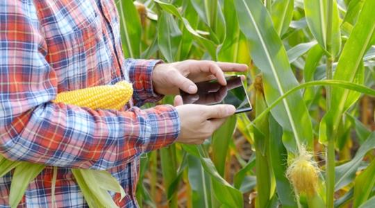 A biostimulátoroktól is bizonyítható hatást várunk