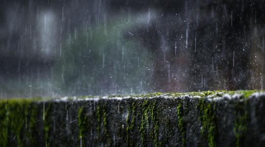 Az eső hozta meg a változást: feloldották a tűzgyújtási tilalmat