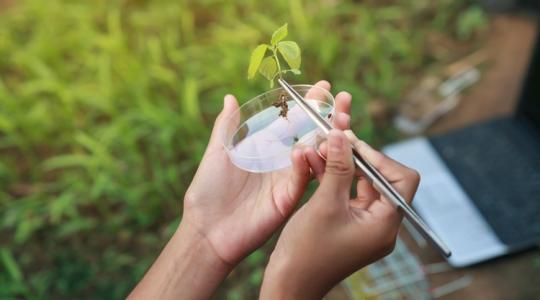 Miért félnek a gazdák ettől az új technológiától?
