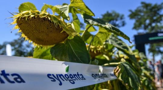 Stresszkezelés felsőfokon: hogyan védekezzünk az aszály ellen?