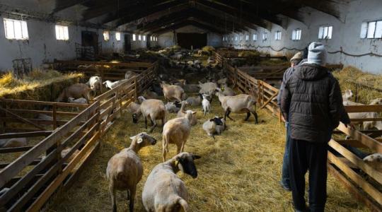 Akár 75 millió forint öntözésre: Startolnak az áprilisi pályázatok!