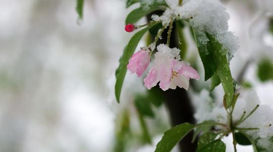 Eső után jön a fagy: újabb kihívás előtt a mezőgazdaság