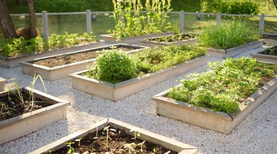 Így lehet kevesebb kártevő a kertedben hosszú távon