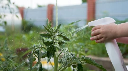 Ezért nem elég csak locsolni - amit sokan nem tudnak