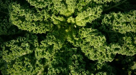 Ezért kell most változtatni a kerted működésén