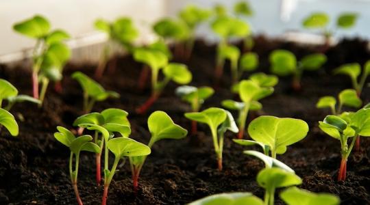 Ezért érdemes most lépni - később már nem lesz ugyanaz