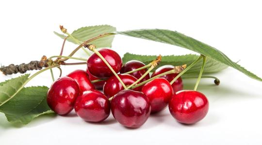 Cseresznyefa metszése: ezt sokan rossz időben végzik el