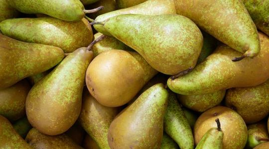 Szereted a körtét? Akkor ennek a hírnek örülni fogsz