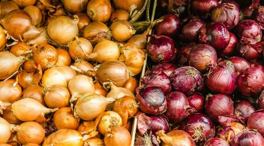 Hagyma tárolása: így nem csírázik ki túl hamar