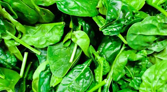 Spenót vetése: mikor és hogyan érdemes elvetni tavasszal?