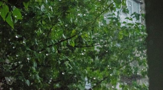 Esővíz gyűjtés: így spórolhatsz sokat a kert öntözésén