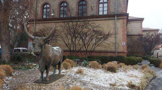 Digitális ugrás az állatorvosképzésben