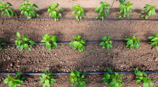 Ezért nem működik a régi módszer - ideje váltani