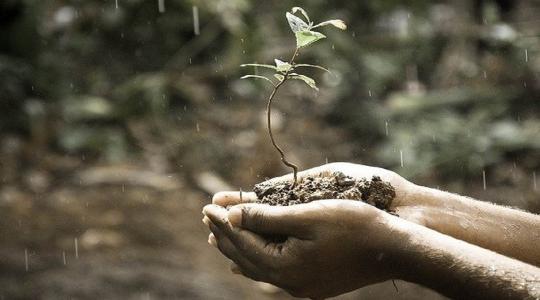 Ezért nem nő semmi a kertedben - a válasz egyszerűbb, mint hinnéd