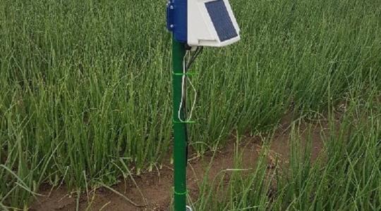 Ez a módszer tényleg működik - nem véletlenül használják a profik