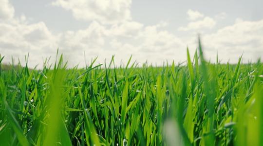 Visszatér a hűvös idő - 3 napos előrejelzés