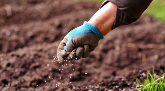 Ezért nem működik a legtöbb kertészeti tanács
