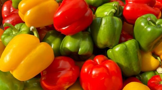 Így lehet kétszer annyi paprikád – ez a profi kertészek titka!