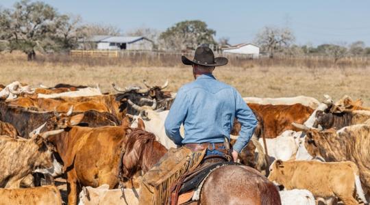 Itt a módszer, amivel az amerikai farmerek profitot csinálnak a válságból