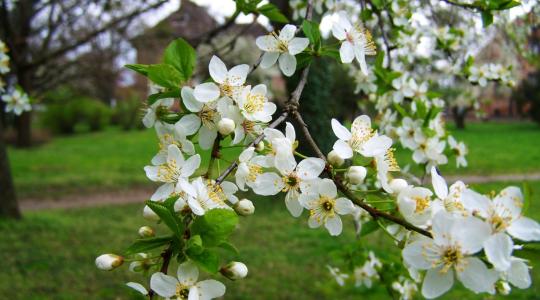 Elaltatta a jó idő az éberséged? Most figyelj, itt a 3 napos előrejelzés!