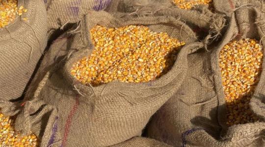 Felezik a járvány okozta veszteséget: gyorssegély érkezik ebbe az ágazatba