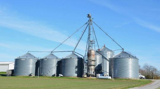 Fontos hír érkezett a gabonatárolásról: cseh tudósok kutatása mentheti meg a termést