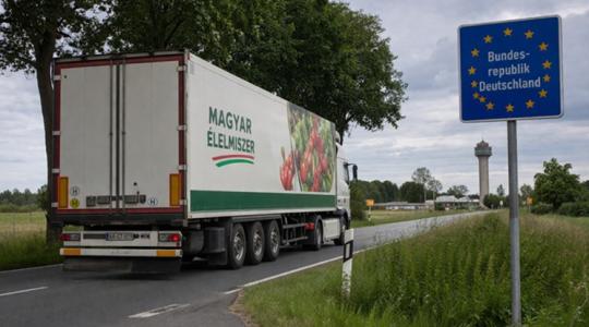 Ez a 10 termék mozgatja a magyar agráriumot