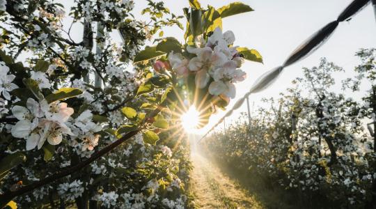3 napos időjárás-előrejelzés: durva változás a láthatáron!