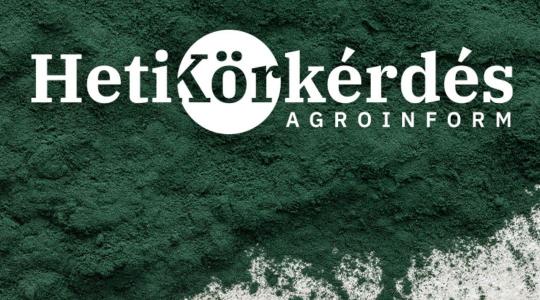 Az algaalapú készítmények esszenciája – Heti Körkérdés