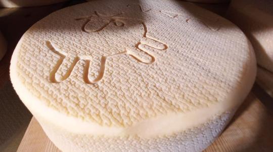 Svájci színvonal a Hargitán: Összefogtak a magyar és az erdélyi sajtkészítők