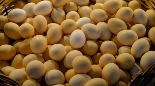 Véget ért az olcsó tojás korszaka?