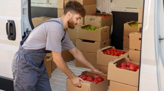 Amikor minden kilométer plusz teher: kínlódik a lengyel almaexport