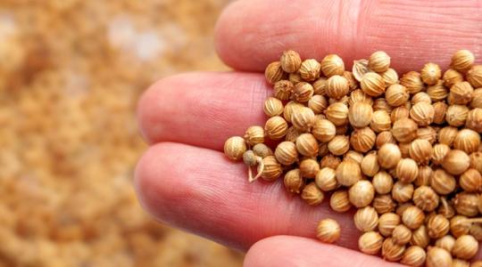 Mérgező anyagot találtak a magyar polcokra került fűszerben