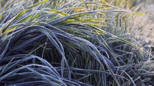 Időjárás: Ha a hajnalon túlvagyunk, a többi gyerekjáték