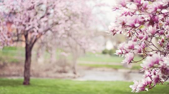 Még farkasszemet nézünk a fagyokkal, de már kopogtat a 20 fok