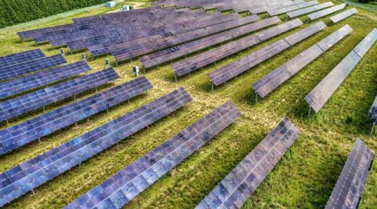 Juhokkal a rezsiválság ellen: Új aranybánya a napelempark