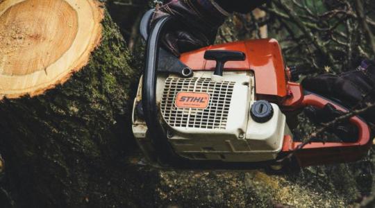 A lábába mart a láncfűrész: Véres kerti munka Hajdúszoboszlón