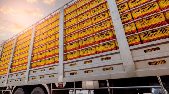 Olcsóbb élelmiszer és kevesebb papírmunka: a britek visszatérnek az uniós szabályokhoz