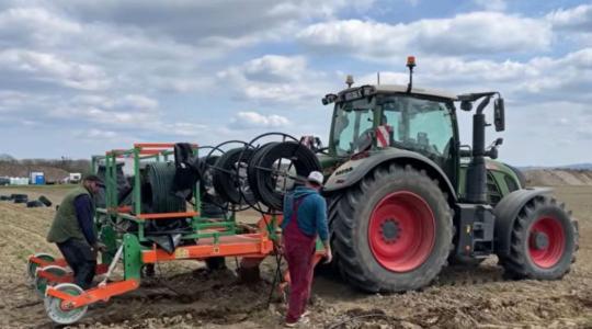 Öntözni szinte már muszáj – de hogyan csináld jól?