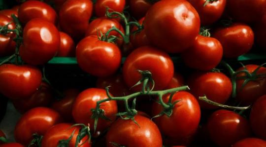 Gyönyörű paradicsomot szeretnél? Ez a titka!