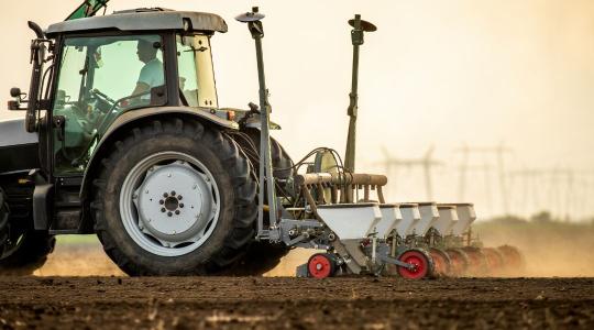 Ha most vetsz, vigyázz: áztató eső nélkül bajba kerülhet a kelés