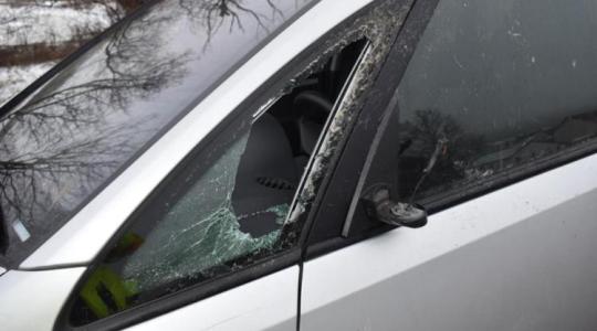 Baleset: benézett a vad az ablakon