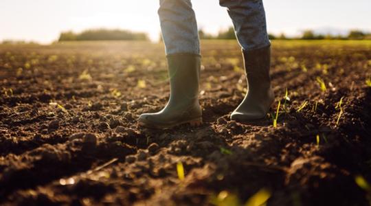 Így turbózhatja fel talajt a legújabb magyar fejlesztéssel