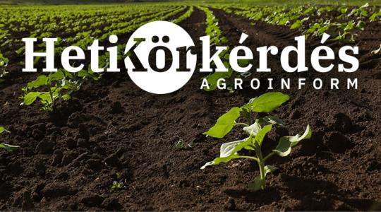 Melyek a sikeres alapgyomirtás feltételei napraforgóban?  – Heti Körkérdés