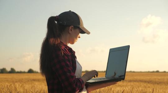 1600 milliárd forint a tét: Elindult az év legfontosabb időszaka a magyar gazdák számára